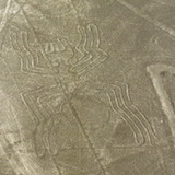Nazca - Spider